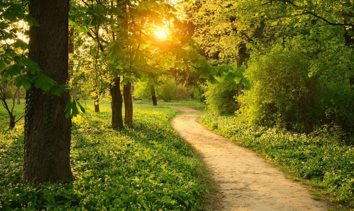 RESTAURER SA RELATION À SOI-MÊME, AUX AUTRES ET… À DIEU